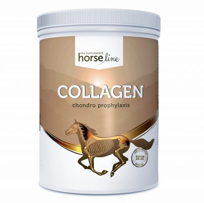 Collagen