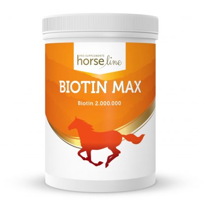 HorseLinePRO BiotinMax 500 g