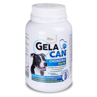 Gelacan Chondro Forte