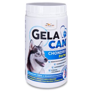 Gelacan Chondro Forte