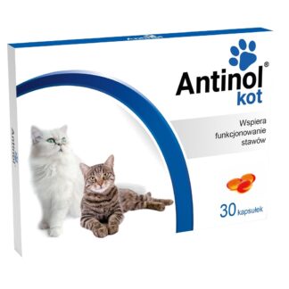 Antinol Kot