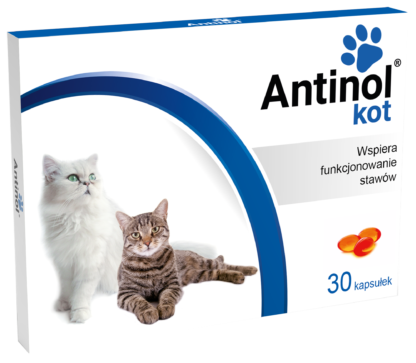 Antinol Kot